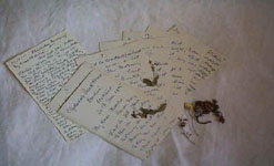 Image of letters written by Isa Cunningham